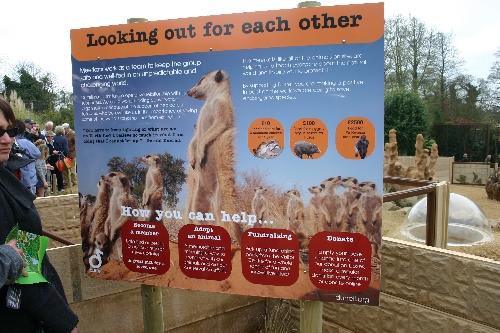 IMG_0724.JPG IMG_0724.JPG