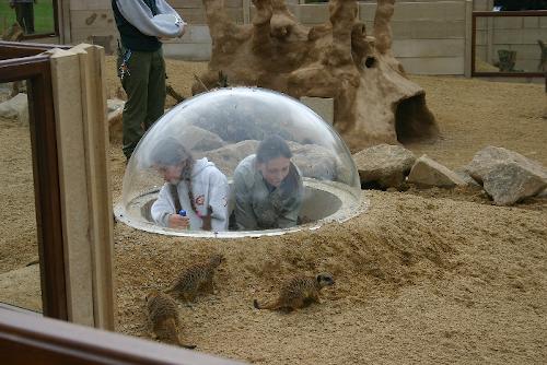 IMG_0735.JPG IMG_0735.JPG